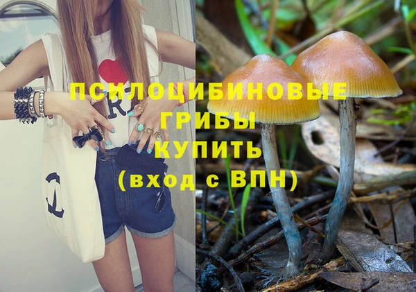 винт Краснослободск